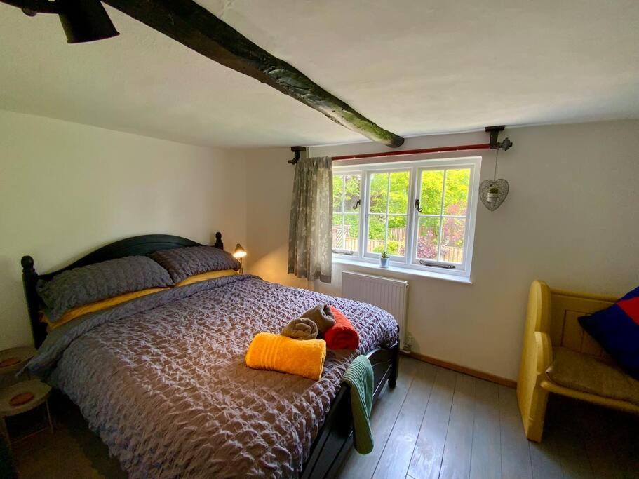 Wingham Beautiful 500 Year Old Listed Kentish Cottage מראה חיצוני תמונה