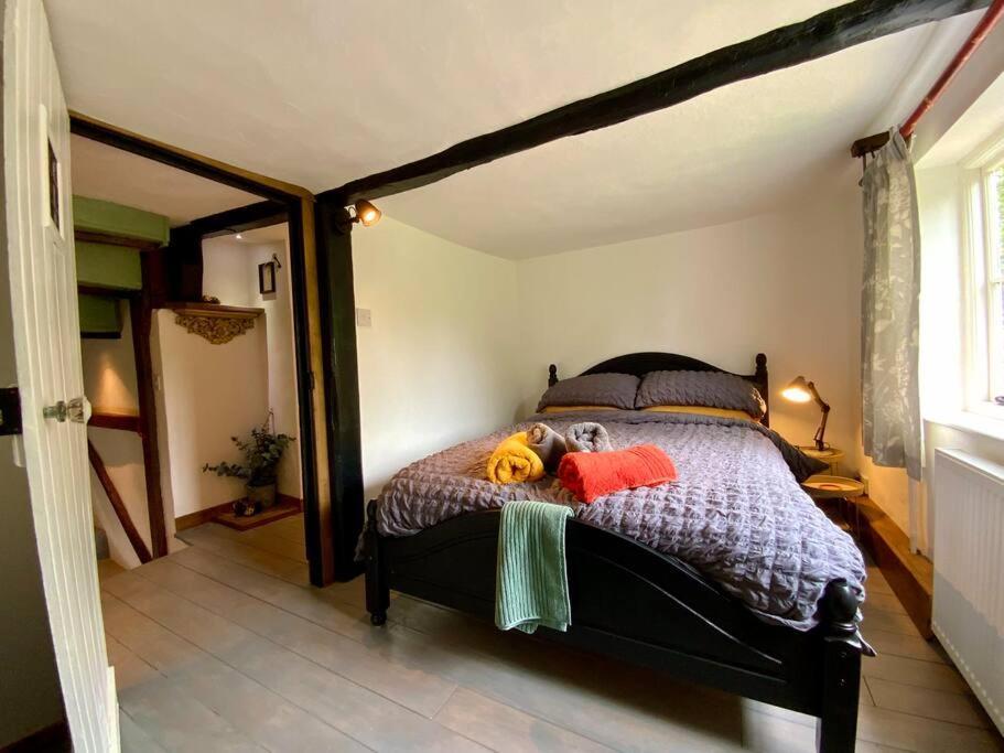 Wingham Beautiful 500 Year Old Listed Kentish Cottage מראה חיצוני תמונה