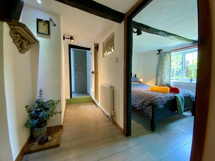 Wingham Beautiful 500 Year Old Listed Kentish Cottage מראה חיצוני תמונה